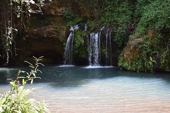 Ngare Ndare Day Trip: Canopy Walk, Blue Pools & Mt. Kenya Views photo 3