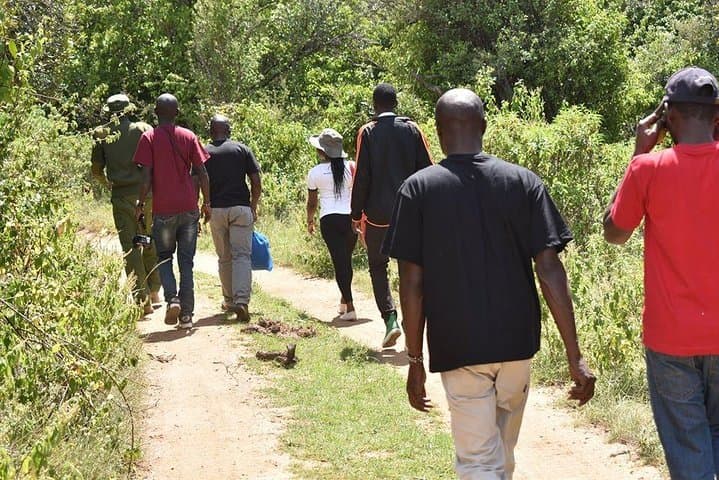 Ngare Ndare Day Trip: Canopy Walk, Blue Pools & Mt. Kenya Views photo 5