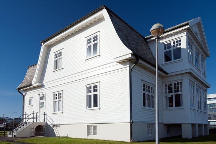 Reykjavik Sightseeing Tour: 3-Hour City Highlights and Cultural Stops photo 6