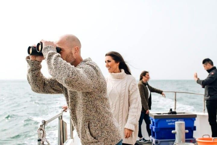 Connemara and Inishturk: Private Full-Day Wildlife Cruise from Cleggan photo 3