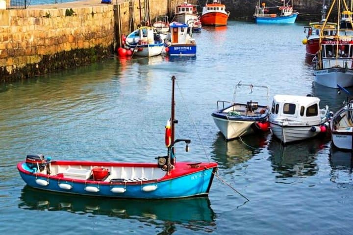 Connemara and Inishturk: Private Full-Day Wildlife Cruise from Cleggan photo 4