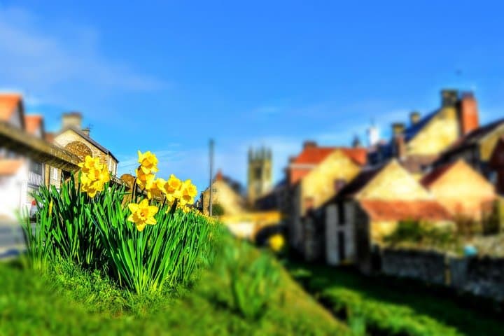 York to Whitby Steam Train & North York Moors: Full-Day Scenic Tour photo 5