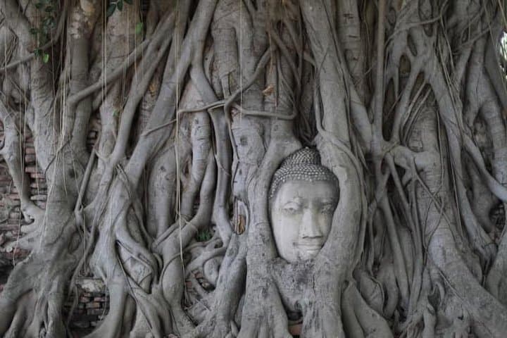 Ayutthaya Afternoon Temples & Sunset River Cruise from Bangkok photo 5