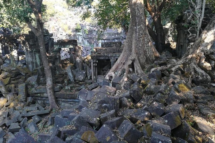 Banteay Srey to Kampong Phluk: Siem Reap's Remote Temple & Floating Village Day Tour photo 2