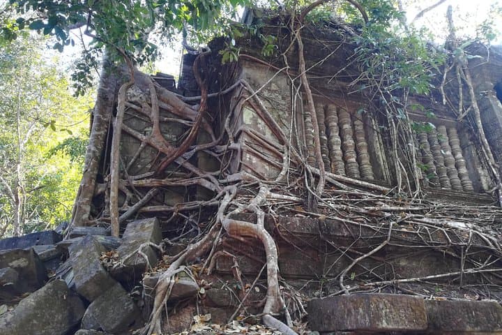 Banteay Srey to Kampong Phluk: Siem Reap's Remote Temple & Floating Village Day Tour photo 3