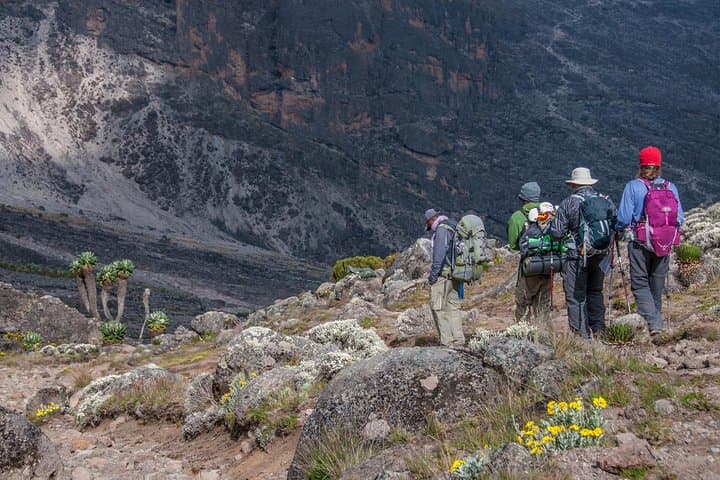 6-Day Umbwe Route Kilimanjaro Trek: Direct, Challenging Ascent to Uhuru Peak photo 4