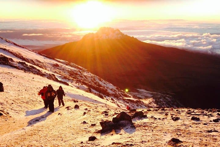 6-Day Umbwe Route Kilimanjaro Trek: Direct, Challenging Ascent to Uhuru Peak photo 6