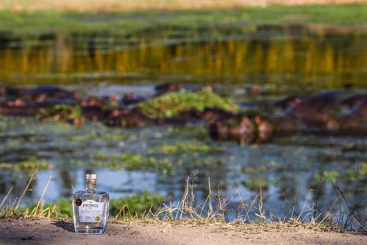 Hoedspruit Citrus Farm Tour & Primos Gin Tasting on the Blyde River