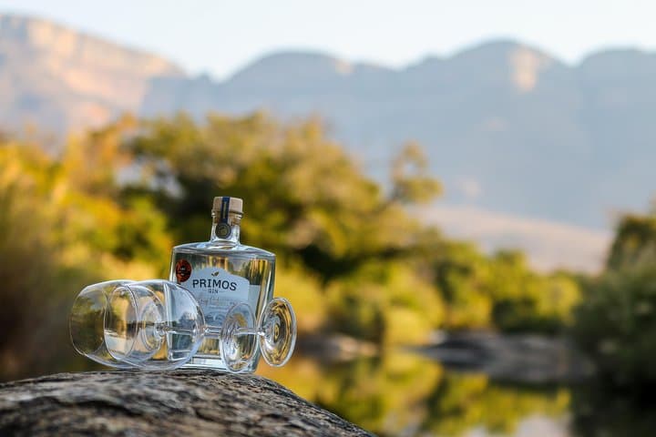 Hoedspruit Citrus Farm Tour & Primos Gin Tasting on the Blyde River photo 2