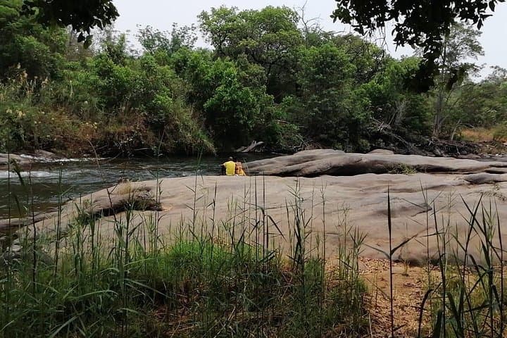 Hoedspruit Citrus Farm Tour & Primos Gin Tasting on the Blyde River photo 4