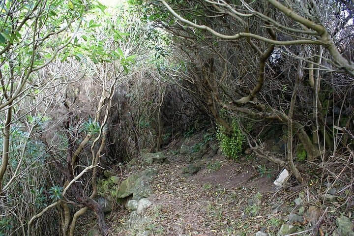 Walking Trails of Terceira: Coastal Caldeiras, Crater Lakes & Forest Routes photo 3