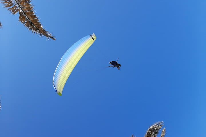 Tandem Paragliding Over Cape Town: Flights from Lion's Head & Signal Hill photo 1