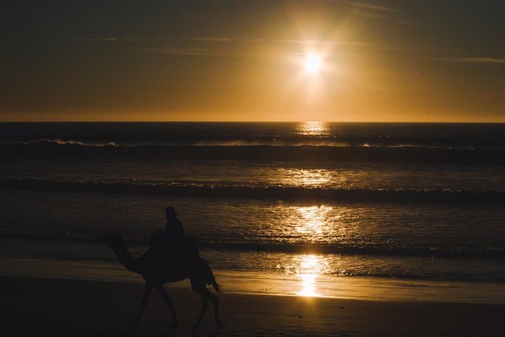 Agadir 2-Hour Camel Ride: Beach, Trails & Sunset at Amodou Ranch photo 4