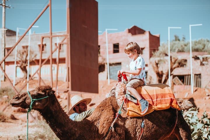 Agadir 2-Hour Camel Ride: Beach, Trails & Sunset at Amodou Ranch photo 3