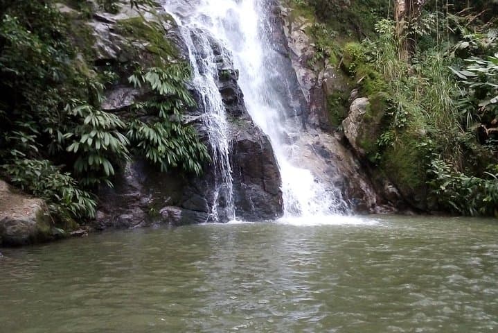Minca Complete Eco‑Tour: Waterfalls, Coffee Farm & Mountain Viewpoints photo 5