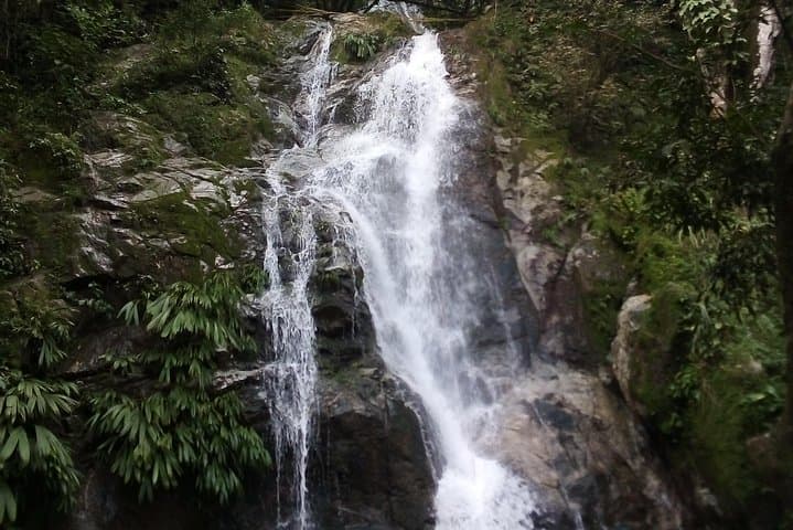 Minca Complete Eco‑Tour: Waterfalls, Coffee Farm & Mountain Viewpoints photo 6