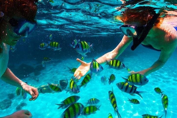 Snorkel West Bay's Natural Aquarium — Chocolate, Rum & Roatán City Tour photo 1