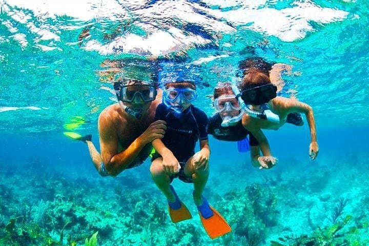 Snorkel West Bay's Natural Aquarium — Chocolate, Rum & Roatán City Tour photo 3