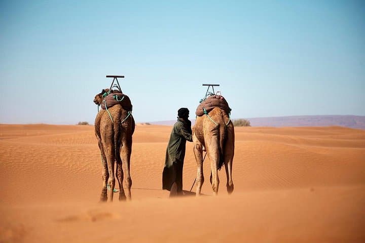 Marrakech to Fez 3-Day Desert Tour — Ait Ben Haddou, Erg Chebbi & Todra Gorge photo 4