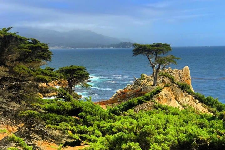 Drive Highway 1: Carmel and Monterey Day Tour from San Francisco