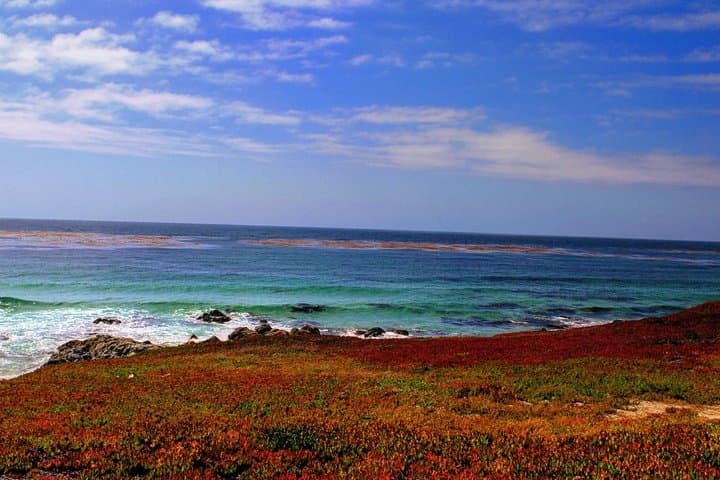 Drive Highway 1: Carmel and Monterey Day Tour from San Francisco photo 2