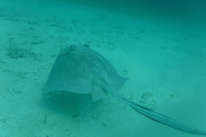 Private Day Sail and Snorkel from Sapphire Beach to St. John National Park photo 3