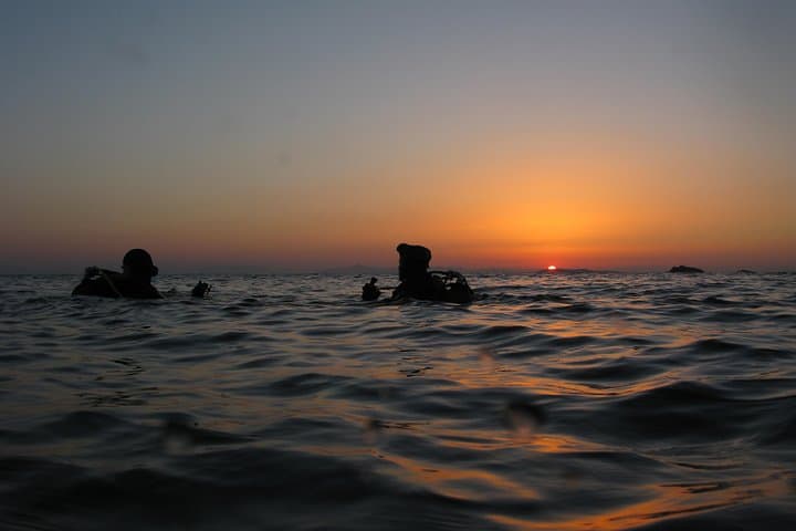 Guided Boat and Shore Dives from Nea Makri: Wrecks, Walls & Caverns in the Evoikos Gulf photo 1