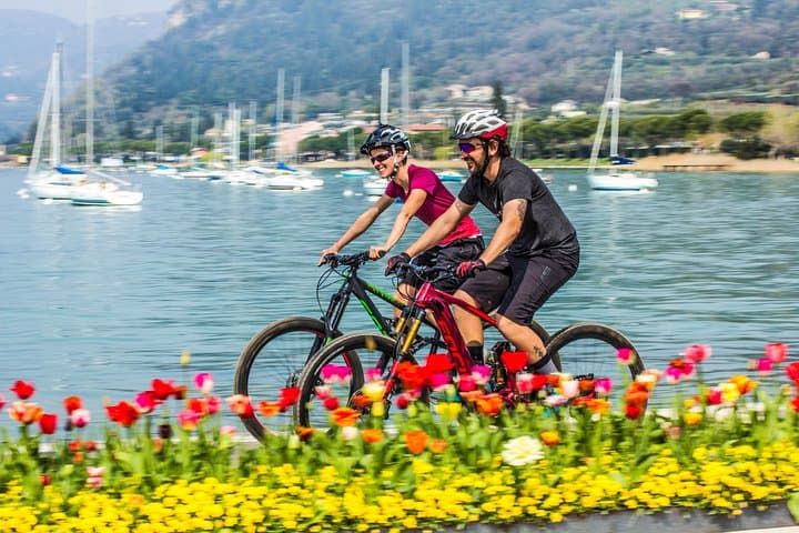 Desenzano e-Bike Tour: Lake Garda Shores, Vineyards & Panoramas