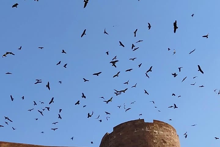 Mehrangarh Fort & Blue City: Private Half-Day Guided Tour in Jodhpur photo 6