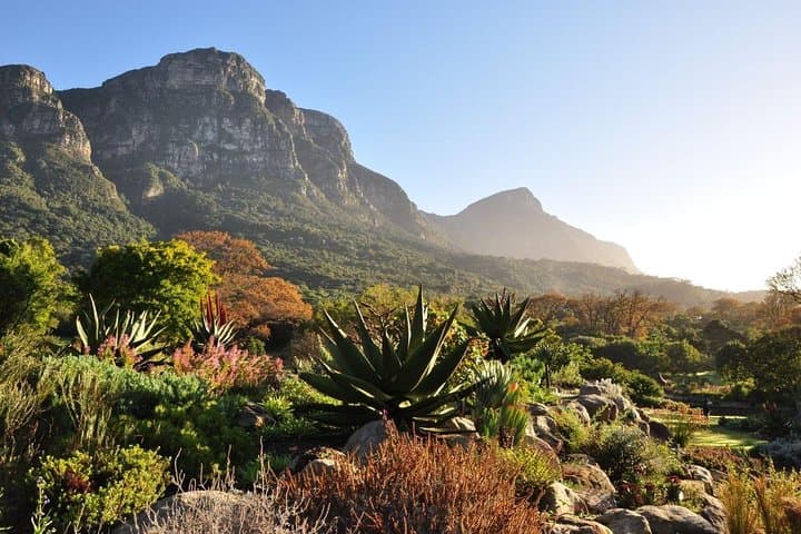 cape-point-peninsula-private-day-tour-from-cape-town photo 4