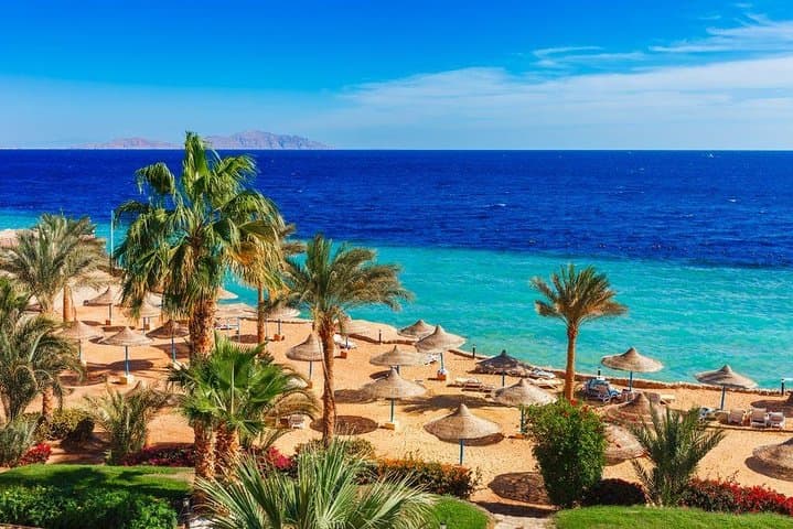 Luxor to Hurghada Day Trip: Red Sea Snorkel, Dolphins & Boat Lunch photo 2