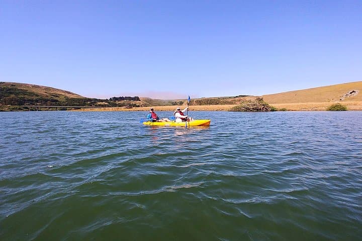 Jenner Coast Guided Kayak Tour — Paddle the Russian River Mouth with Seals photo 2