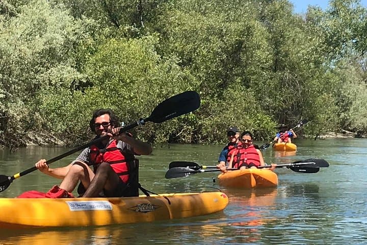 Guided Kayak Tour on the Russian River — Healdsburg Wine Country Paddle