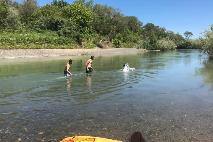 Guided Kayak Tour on the Russian River — Healdsburg Wine Country Paddle photo 5
