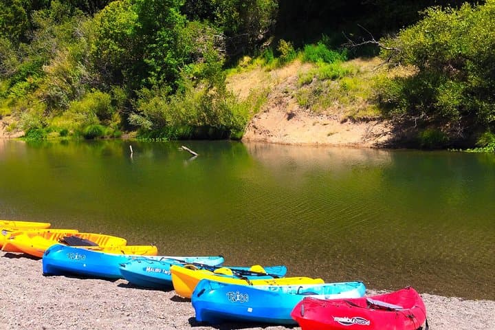 Guided Kayak Tour on the Russian River — Healdsburg Wine Country Paddle photo 6