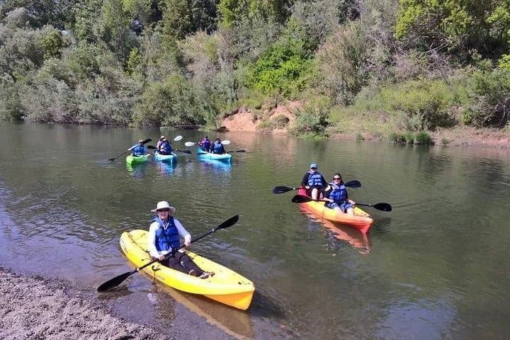 Guided Kayak Tour on the Russian River — Healdsburg Wine Country Paddle photo 3