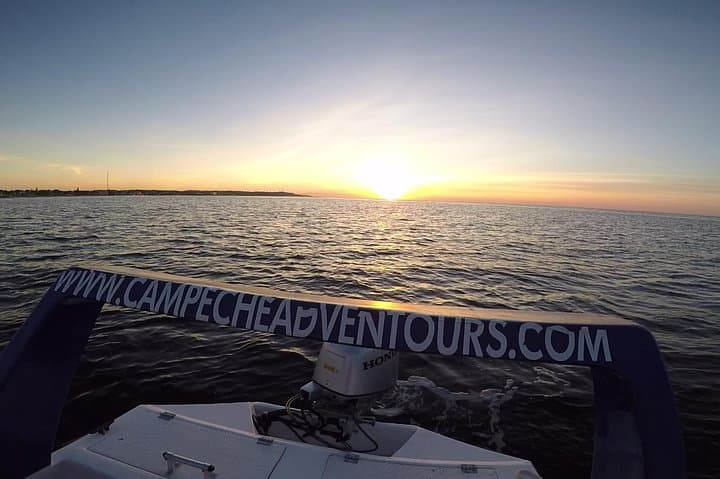 Campeche Boat Boardwalk Tour: Speedboat Seawall Sightseeing & Sunken Galleon photo 6
