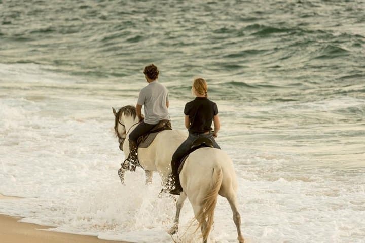 Private Alentejo Tour: Horseback Ride on Melides Beach with Lunch & Arrábida Views photo 4