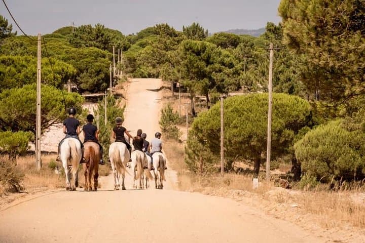 Private Alentejo Tour: Horseback Ride on Melides Beach with Lunch & Arrábida Views