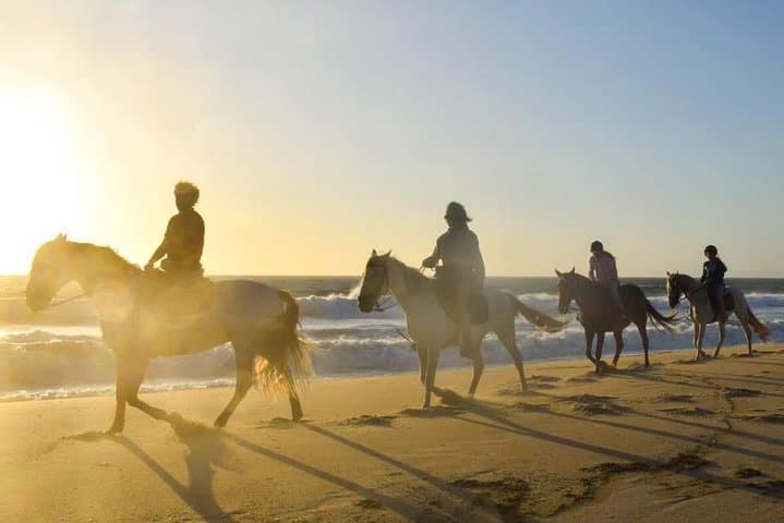 Private Alentejo Tour: Horseback Ride on Melides Beach with Lunch & Arrábida Views photo 3