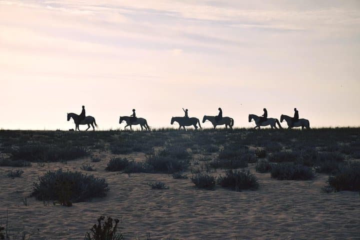 Private Alentejo Tour: Horseback Ride on Melides Beach with Lunch & Arrábida Views photo 2