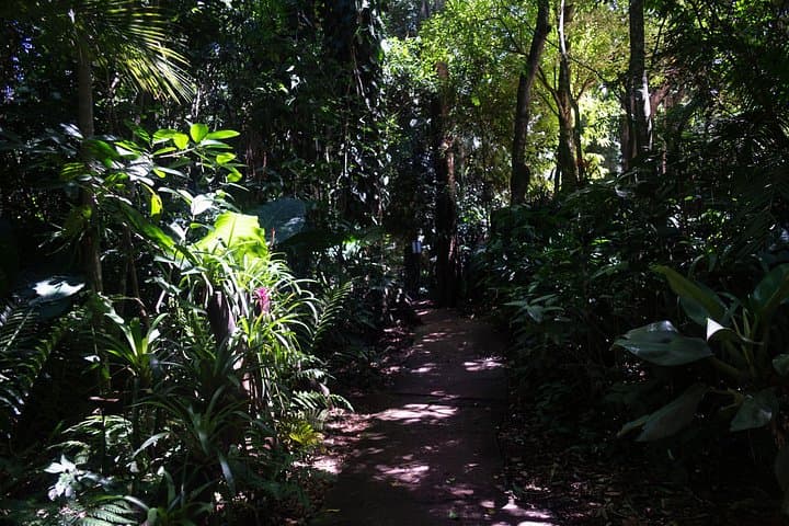 Gran Aventura at Iguazu Falls: Argentina-Side Boat Ride, Trails & Devil’s Throat Trek photo 4