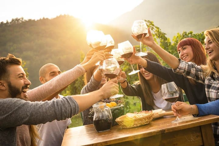Pelješac Peninsula Wine Tour from Dubrovnik: Ston Oysters & Dingač Vineyards