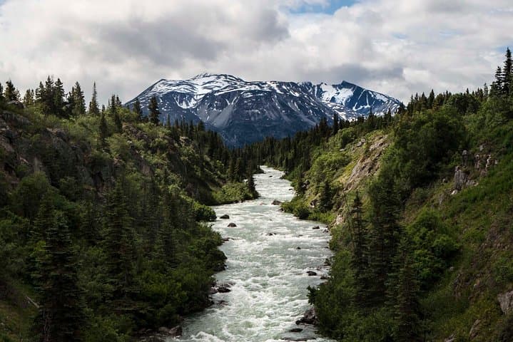 White Pass Summit & Yukon Suspension Bridge Tour from Skagway photo 4