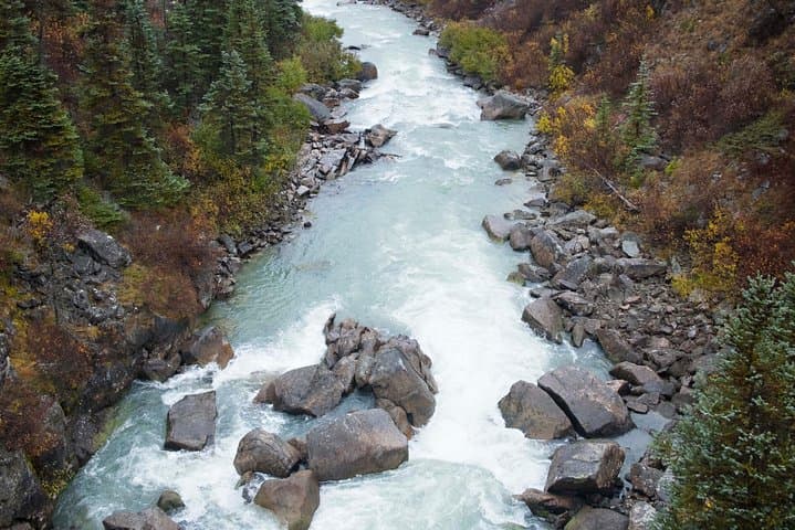 White Pass Summit & Yukon Suspension Bridge Tour from Skagway photo 5