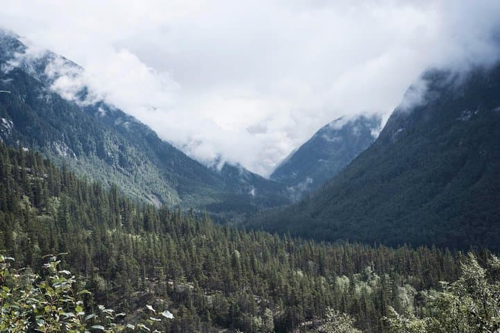 White Pass Summit & Yukon Suspension Bridge Tour from Skagway photo 6