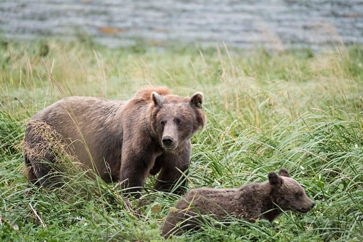 Chilkat Valley Photography Tour from Skagway to Haines photo 6