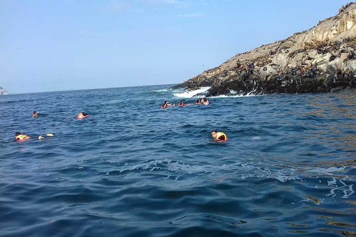 Private Ballestas Islands & Huacachina Dunes Day Trip from Lima photo 4