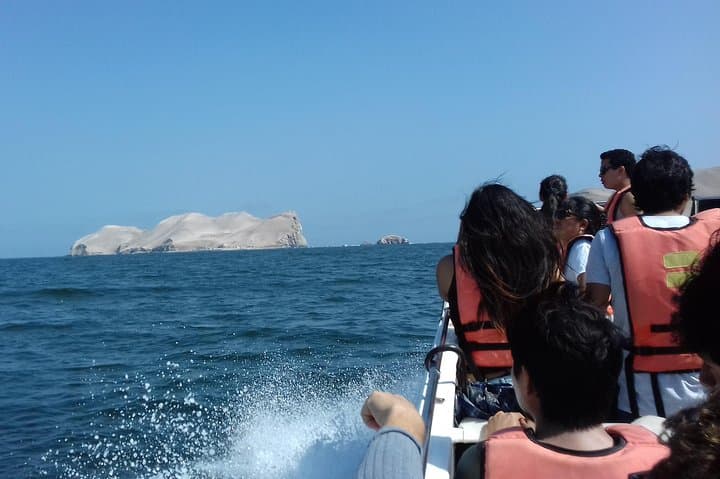 Private Ballestas Islands & Huacachina Dunes Day Trip from Lima photo 5