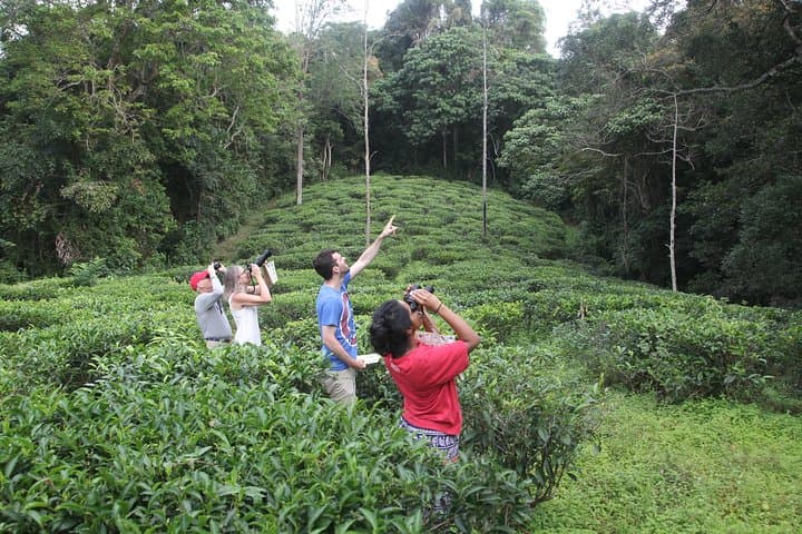 Forest Waterfall Wellness: Yoga, Waterfall Bath & Village Walk near Ella photo 2